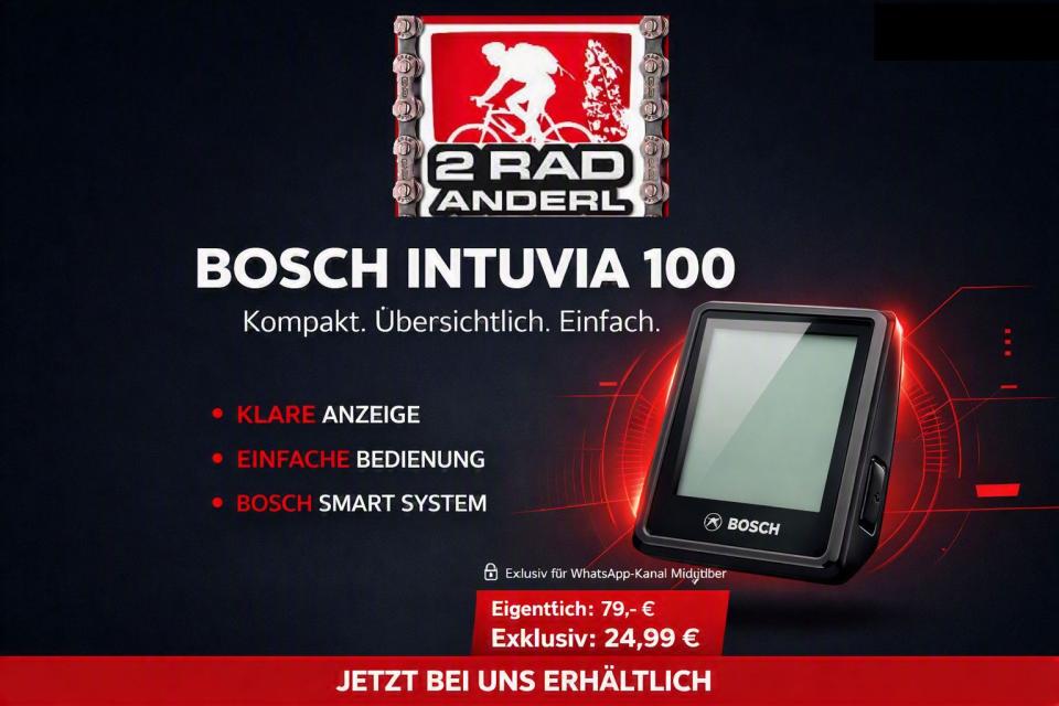 Bosch Intuvia 100