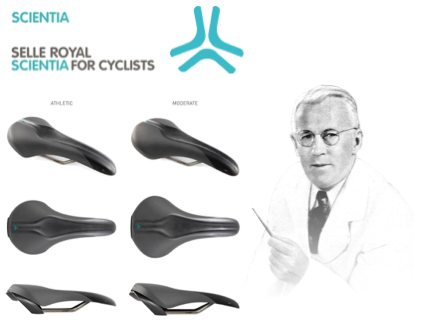 Auswahl Sattel Selle