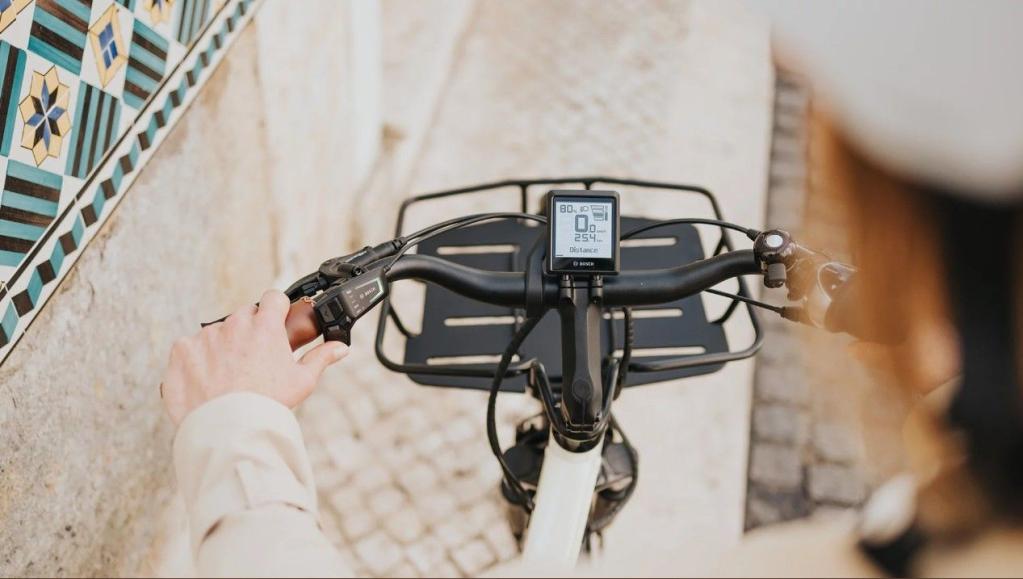Bosch Intuvia 100 2